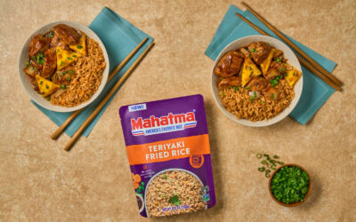 Rice and Teriyaki Recipes: Easy and Flavorful Meals
